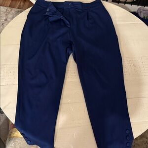 JustFab Deep Blue Skinny Pants